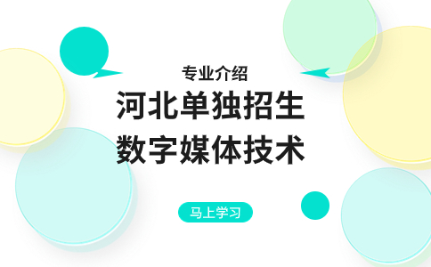 河北單獨招生數(shù)字媒體技術專業(yè)