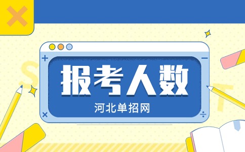 單招報考人數